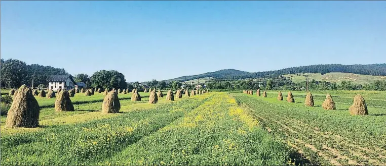  ?? XAVIER MAS DE XAXÀS ?? Bucovina, región en el norte de Rumania, que en cien años ha visto dos guerras mundiales, el genocidio de los judíos, el comunismo y una democracia desigual