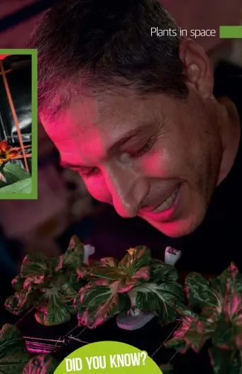  ??  ?? Right: NASA astronaut Mike Hopkins with ‘extra dwarf’ pak choi plants growing aboard the ISS