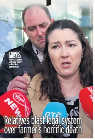  ??  ?? TRAGIC ORDEAL Ann O’carroll outside court in Dublin yesterday