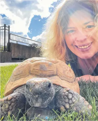  ?? CONTRIBUTE­D ?? Heather McKinnon Ramshaw poses with Gus, the oldest recorded gopher tortoise in captivity, at the Nova Scotia Museum of Natural History. McKinnon has been an animal care co-ordinator at the museum for 14 years.