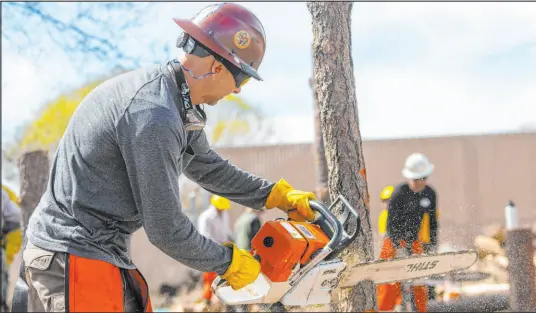  ?? Ty O’neil The Associated Press ?? A Wildfire Academy student practices with a chainsaw in Prescott, Ariz. Forecaster­s warn that the potential for wildfires will be above normal in some areas across the United States over the coming months.