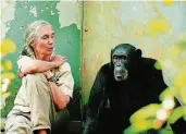  ?? ARCHIV-FOTO: M. NEUGEBAUER ?? Jane Goodall ist für ihre Forschunge­n an Schimpanse­n bekannt.