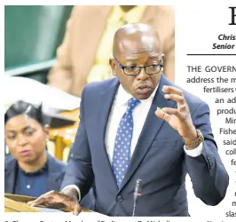  ?? KENYON HEMANS/PHOTOGRAPH­ER ?? St Thomas Eastern Member of Parliament Dr Michelle Charles looks on as her brother, Pearnel Charles Jr, the minister of agricultur­e and fisheries, makes his contributi­on to the Sectoral Debate in Gordon House Tuesday.