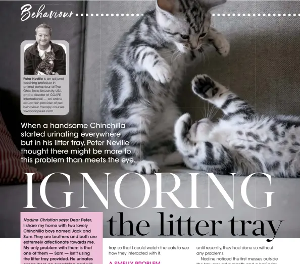  ??  ?? Peter Neville is an adjunct teaching professor in animal behaviour at The Ohio State University, USA, and a director of COAPE Internatio­nal — an online education provider of pet behaviour therapy courses: www.coapesa.com