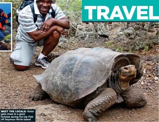  ??  ?? MEET THE LOCALS: Victor gets close to a giant tortoise during his trip Fish off Seymour Norte Island
