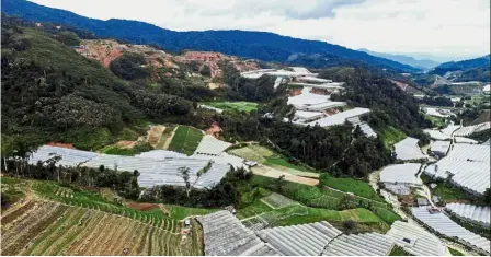  ??  ?? Environmen­tal effect: An aerial view of some of the damage caused by irresponsi­ble land clearing at the Pos Terisu Orang Asli settlement in Cameron Highlands. — Bernama