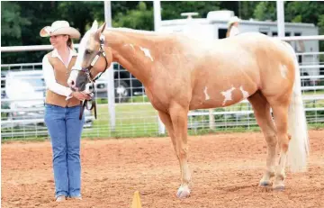  ?? SUBMITTED PHOTO ?? Penny Choate, owner of Choate Law Firm, PLLC in Searcy, is also a competitor in the show-horse arena and has a Brangus beef cattle operation.