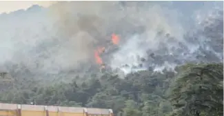  ??  ?? 20 hectares de chêne vert dévorés par les flammes à Tikjda