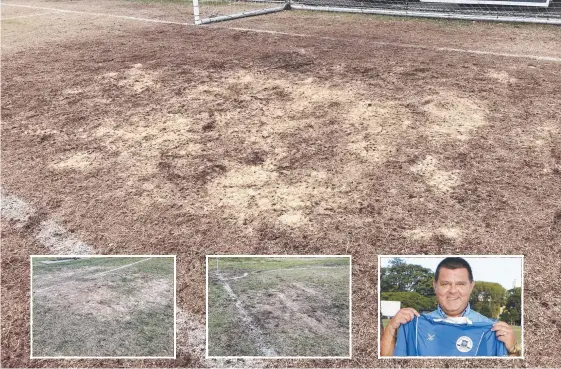  ?? Pictures: SUPPLIED ?? The under-fire Lex Bell Oval playing surface, home of Surfers Paradise, and Apollo president Telly Karadimos.