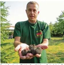  ??  ?? Depuis l’an dernier, Christian Duval fait la cueillette de la truffe blanche d’été dans son jardin.