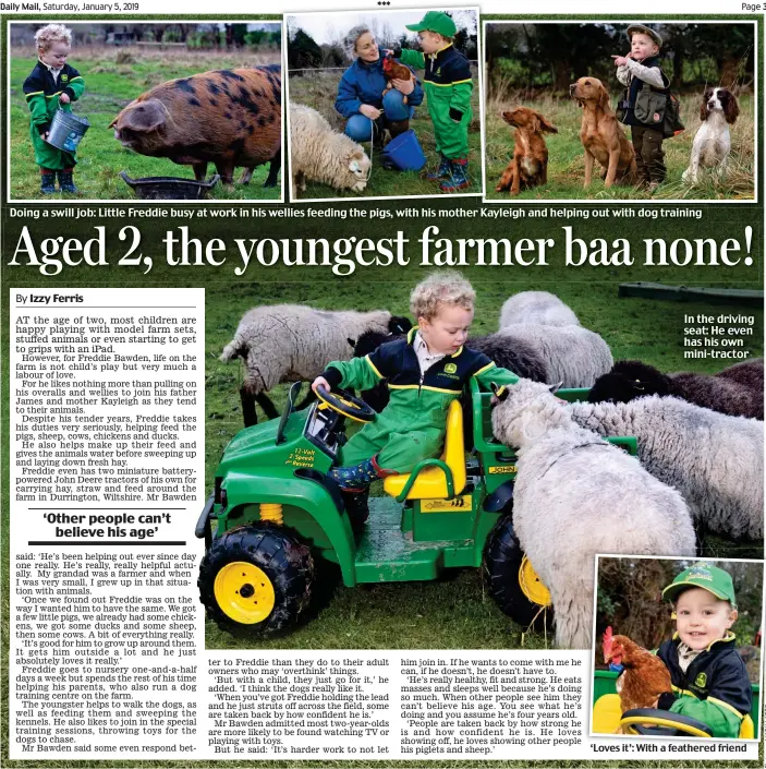  ??  ?? In the driving seat: He even has his own mini-tractor ‘Loves it’: With a feathered friend Doing a swill job: Little Freddie busy at work in his wellies feeding the pigs, with his mother Kayleigh and helping out with dog training