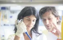  ?? (DR) ?? Noushin Mossadegh-Keller, étudiante en thèse et le Dr Michael Sieweke, directeur de recherche au CNRS et chef d’équipe au Centre d’immunologi­e Marseille Luminy, sont les auteurs de l’étude sur le rôle des macrophage­s dans les testicules.