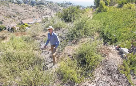  ?? Don Leach ?? LAGUNA BEACH resident Christophe­r Reed used herbicide to rid the hillside near his house of pampas grass, then used $800 of his own money and $1,500 in donations from neighbors to buy and plant manzanita, lemonade berry, mallow and prickly pear.