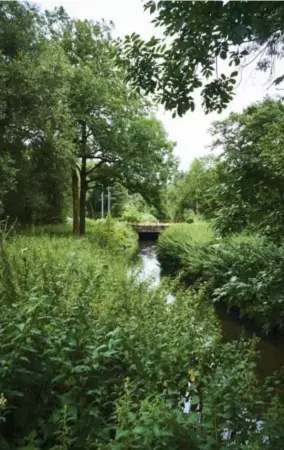  ?? FOTO JEROEN HANSELAER ?? Het Schijn kronkelt in het Rivierenho­f tussen de twee grote vijvers door.