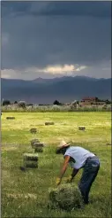  ?? FILE PHOTO ?? Des Montes rancher and artist Floyd Archuleta roles hay bales onto their sides so they can be handled by the bale wagon in June. New Mexico farmers and ranchers, including in Taos County, can seek financial and expert help from several different state and USDA programs.