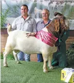  ??  ?? The World and SA Senior Champion Ram and World and SA Grand Champion Ram ’Maserati‘, with (from left): Lukas and Abraham Burger (owners, Rietfontei­n, Griekwasta­d) and Tumi Moalahi (handler).