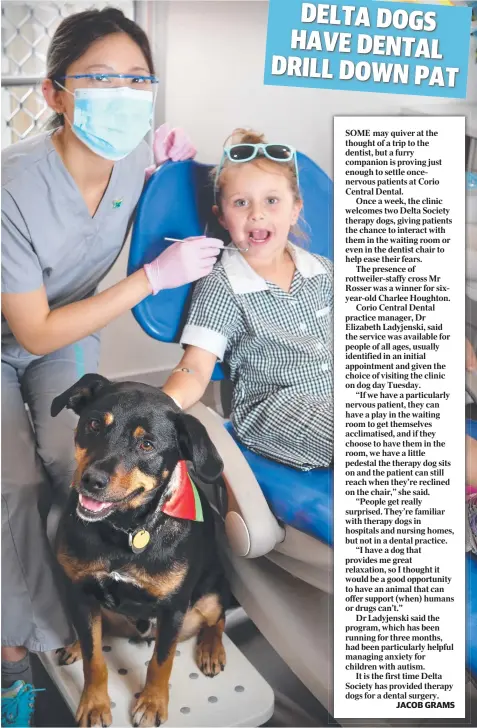  ?? Picture: GLENN FERGUSON ?? SMILES ALL ROUND: Corio Central Dental’s Dr Tingyi Li with patient Charlee Houghton, 6, and therapy dog Mr Rosser.