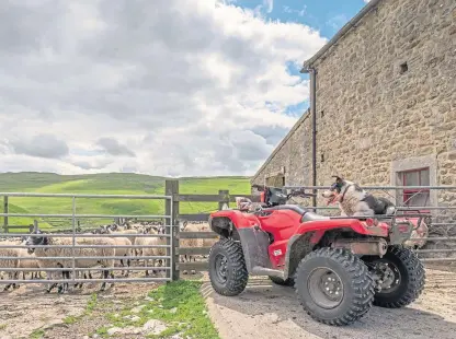  ?? Picture: Shuttersto­ck. ?? Quad bikes are a favourite target for criminal gangs operating in rural areas.