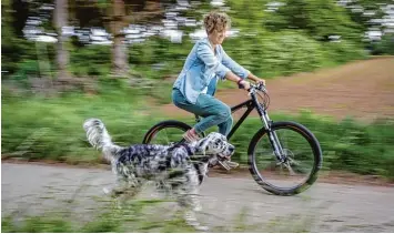  ?? Foto: Frank Rumpenhors­t, dpa ?? Am besten traben Hunde locker neben dem Fahrrad her, ohne zu galoppiere­n – wie der English Setter Albert mit Hundetrain­erin Stephanie Schörling.