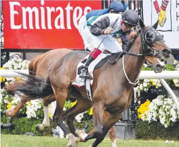  ??  ?? CONTENDER: Fanatic had a win on Melbourne Cup day and will rise to 3200m today. Picture: JAY TOWN