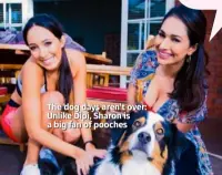  ??  ?? The dog days aren’t over: Unlike Dipi, Sharon is a big fan of pooches