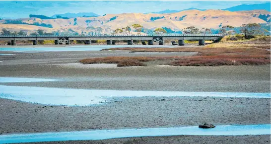  ??  ?? Napier's deputy mayor Annette Brosnan says Napier currently discharges approximat­ely 75 per cent of its stormwater, untreated into Te Whanganui a Orotu¯ (the Ahuriri Estuary).