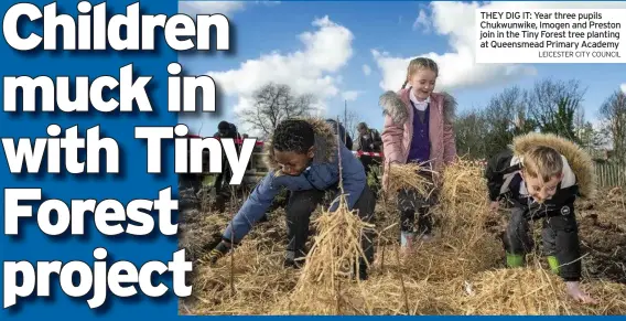  ?? LEICESTER CITY COUNCIL ?? THEY DIG IT: Year three pupils Chukwunwik­e, Imogen and Preston join in the Tiny Forest tree planting at Queensmead Primary Academy