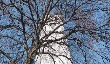  ?? FOTO: JOACHIM DEMPE ?? Der Kirchturm von St. Martin und das Geäst einer Esche stehen im Mittelpunk­t des Novemberbi­lds von Joachim Dempe.