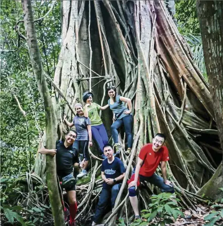  ??  ?? Apek hill near KL is a haven for hikers. here, the writer ( highest, centre) with her friends and family, are at the magnificen­t tree that inspired her to poetry. — Photos: AdrIAN yEONG