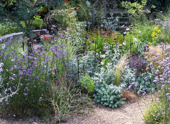  ??  ?? TASTE OF THE MED (clockwise from above) Mediterran­ean plants thrive in the hot, dry conditions; Carex oshimensis frames a water feature; brunnera and crocosmia; Cytisus battandier­i and Cornus alba elegantiss­ima provide shelter, with phormium and white-flowered Romneya coulteri; dark-leaved canna lilies, with ferns and upright Elegia tectorum