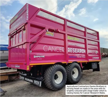  ??  ?? Agricultur­al Contractor­s Davies Brothers is turning heads on roads in the area with its brightly coloured pink silage trailer which is raising money for Cancer Research Wales.