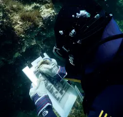  ?? ?? Ricerche archeologi­che sottomarin­e: un sub esegue una schedatura «sul campo»
