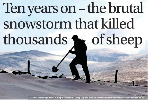  ?? DAVE THOMPSON ?? > Farmer Gareth Wyn Jones during the search for sheep trapped beneath snow on his farm in Llanfairfe­chan on March 26, 2013