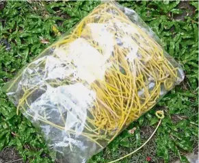  ??  ?? Bad practice: Some of the grass-cutters’ plastic ties collected by the letter writer and her family from just one field in their neighbourh­ood. — ZORINA KHALID