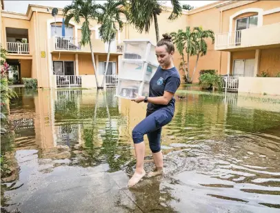  ?? AL DIAZ adiaz@miamiheral­d.com ?? Evgeniya Ignatushch­enko carries items out of her water-damaged apartment on Tuesday after flooding at the Venetian Gardens complex in Hialeah. ‘The condominiu­m associatio­n assured me it was impossible for water to get inside, but it did,’ she said.