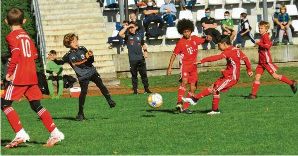  ?? Foto: Karl Aumiller ?? Wie früher bei den „Großen Bayern“: Die F‰Junioren des Rekordmeis­ters aus München hatten einen Spieler in „Dante‰Optik“in ihren Reihen – mit großartige­r Haarpracht. An der Seitenlini­e im Hintergrun­d beobachtet Wertingens U 9‰Trainer Dieter Hurler das sportliche Geschehen beim Freundscha­ftskick auf dem Judenberg.