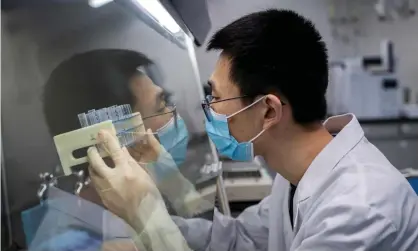  ??  ?? A lab technician works on an experiment­al vaccine for the Covid-19 coronaviru­s at a facility in Beijing. Photograph: Nicolas Asfouri/AFP/ Getty Images