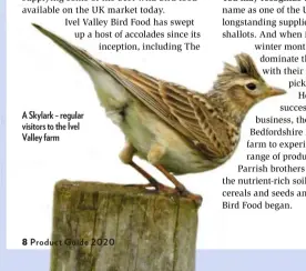  ??  ?? A Skylark – regular visitors to the Ivel Valley farm