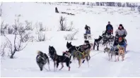  ?? FOTO: HURTIGRUTE­N ?? Gezogen von Huskys geht es bei Tromsø durch verschneit­e Wälder und über zugefroren­e Seen.