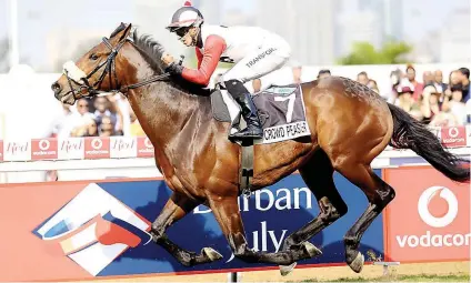  ??  ?? PIERE’S PICK. Crowd Pleaser is one of the horses Piere Strydom feels can win the R2-million Sansui Summer Cup over 2000m at Turffontei­n today.