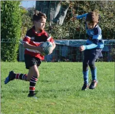  ??  ?? Wicklow under-9s attack the Barnhall line.