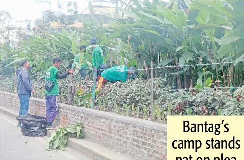  ?? PHOTOGRAPH BY JOEY SANCHEZ MENDOZA FOR THE DAILY TRIBUNE@tribunephl_joey ?? BARANGAY workers clean and decorate the center island with plants along Juan Luna Street in Moriones, Tondo, Manila on Tuesday.