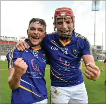  ??  ?? Wicklow’s Padraig Doran, left, and Padraig Doyle, celebrate after victory over Meath in the All-Ireland under-21 B final of 2015.