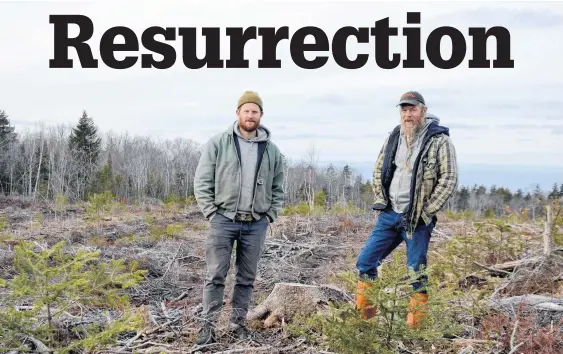  ?? LAWRENCE POWELL ?? Adam Harris and Deryk Eagles bought an 86-acre clear-cut they’re in the process of rehabilita­ting by offering it to young homesteade­rs who believe in ecological sustainabi­lity and hard work.