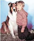  ?? FOTO: IMAGO STOCK&PEOPLE ?? Lassie und Timmy Martin (Jon Provost), Fernsehsta­rs in den 60er-Jahren.