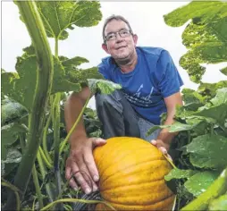  ?? Picture: Martin Apps FM4493141 ?? Farmer Charlie Eckley is starting a new venture – a pick-yourown pumpkin service for Halloween