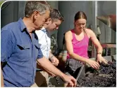  ??  ?? Top: Peregrine Winery. Above: Lindsay McLachlan, his son Fraser and Annabel Angland.