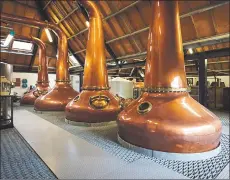  ??  ?? The four pot stills which produce ‘the Arran waters’.