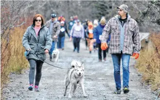  ??  ?? Freya the husky was one of the many dogs who enjoyed the annual Dog Jog with their human companions.