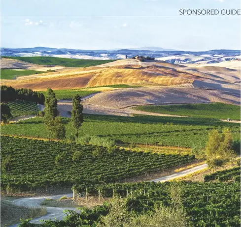  ??  ?? Above: vineyards in the undulating landscape of the Canalicchi­o area